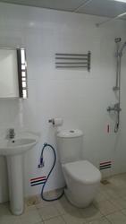 Blk 441B Clementi Avenue 3 (Clementi), HDB 4 Rooms #131028432